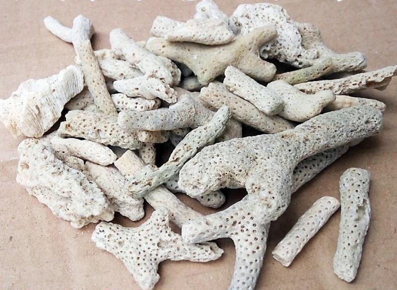 药用珊瑚骨，道地药材，质优价实，品质保证，药典标准一公斤