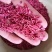 药用珊瑚,道地药材,质优价实,品质保证,药典标准一公斤起