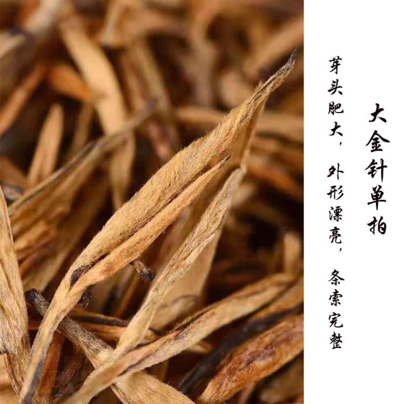 凤庆大金针小金针金针茶叶普洱茶蜜香金针