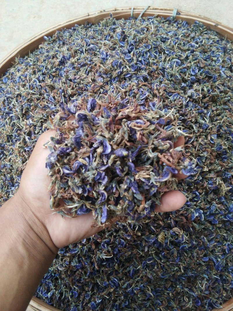 新鲜葛花大花小花干货