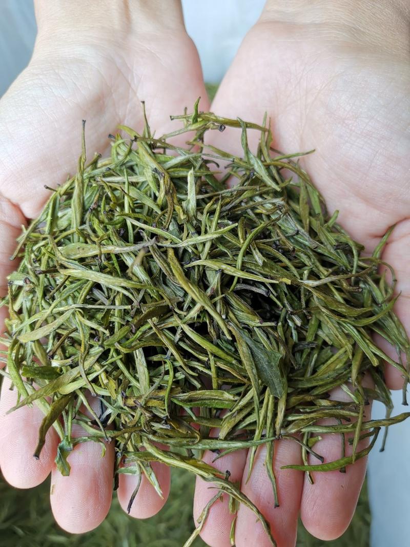 竹叶青绿茶滇绿普洱茶茶叶单芽包邮活动价