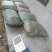 芹菜苗大别山野生水芹水芹老茎新式栽培省时省力省工