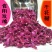 平阴重瓣食用玫瑰干花瓣，玫瑰花干花片红玫瑰花瓣一袋一斤