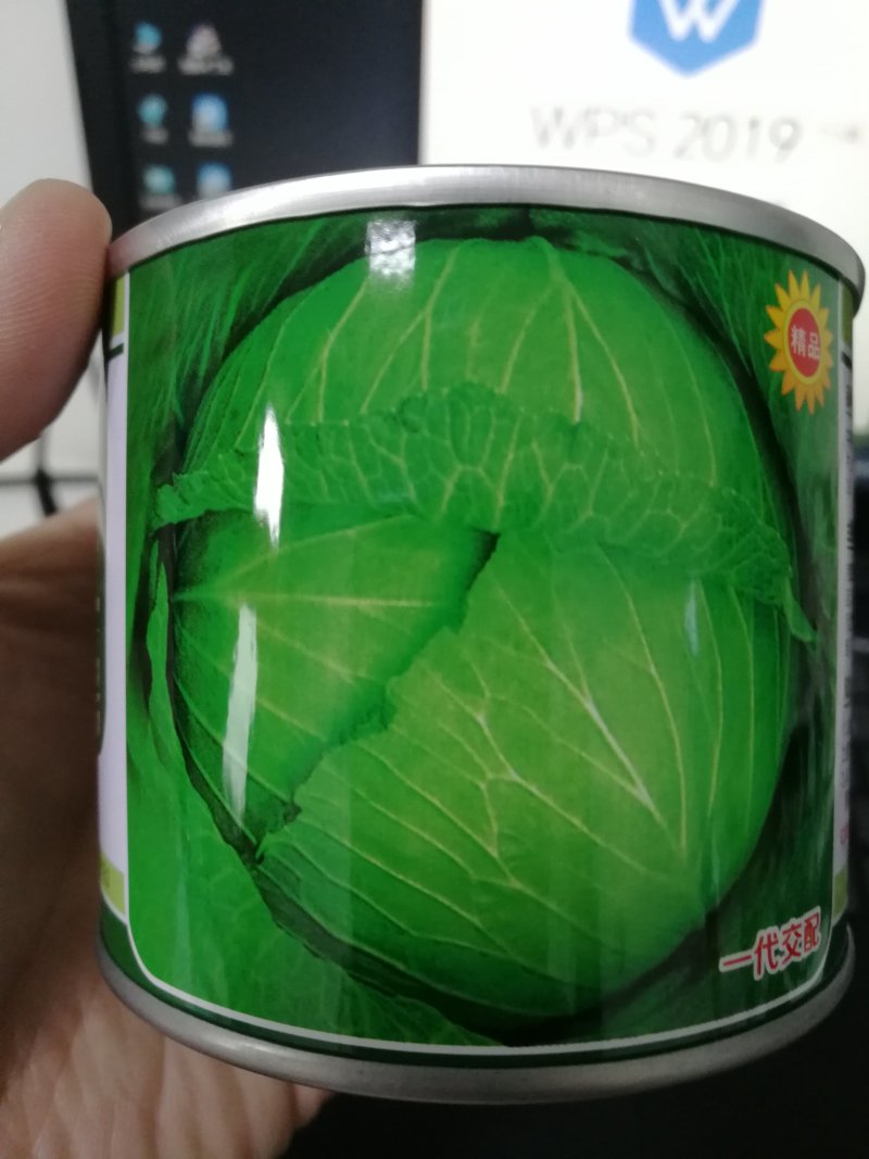 【精选】早春甘蓝种子球形美观薄皮抗病丰产高产抗虫