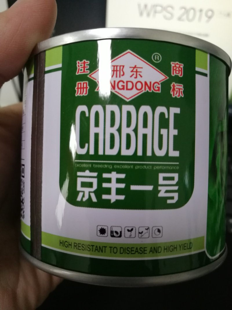 【精选】早春甘蓝种子球形美观薄皮抗病丰产高产抗虫