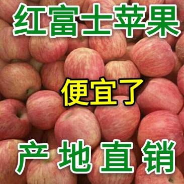 苹果产地批发【红富士苹果】货源充足价格便宜质量很好