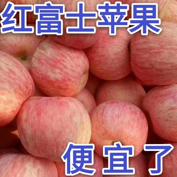 【红富士苹果】产地批发山东苹果价格便宜