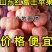 【红富士苹果】产地批发山东苹果价格便宜