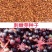 刺嫩芽种子刺老芽种子人工水洗无渣子
