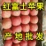 【红富士苹果】山东苹果产地纸加膜纸袋膜袋苹果