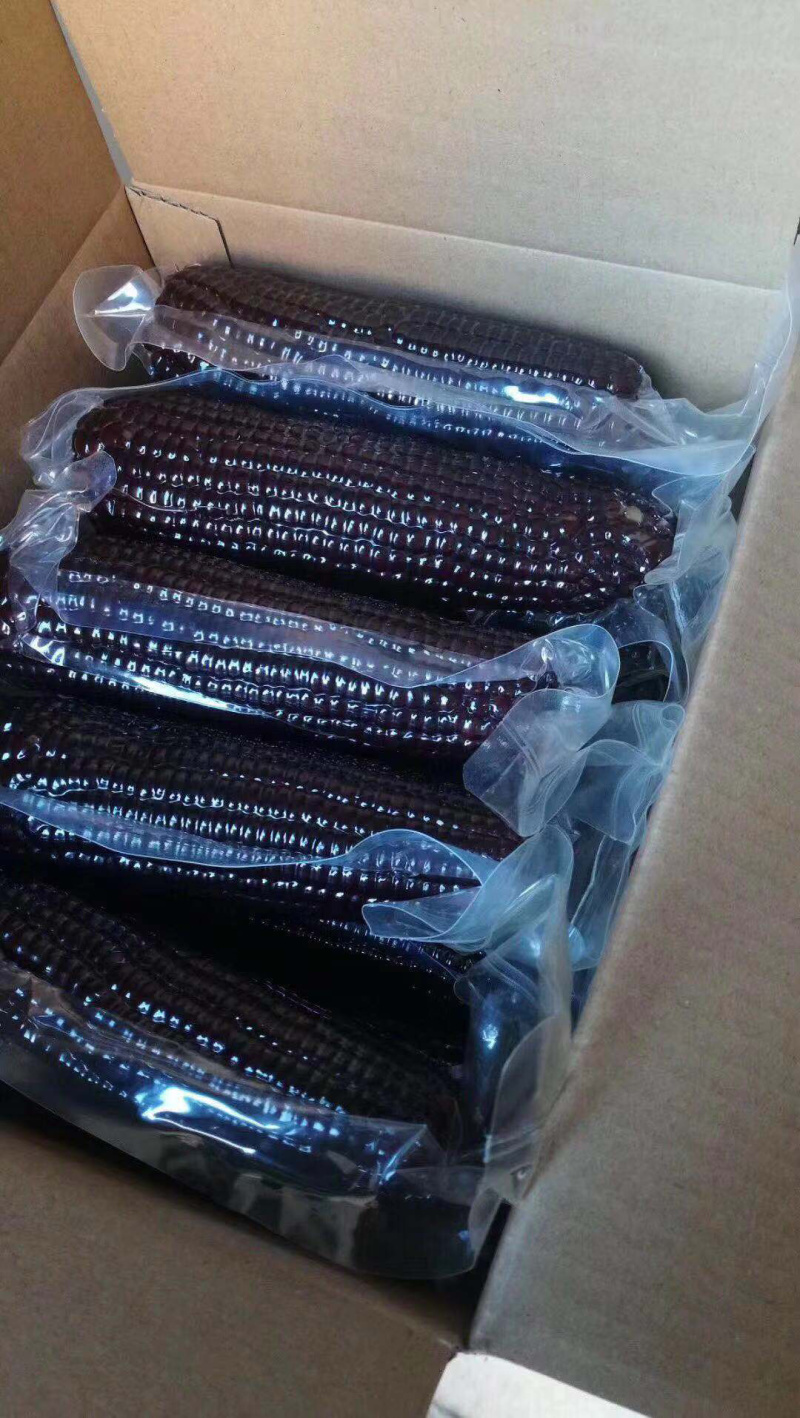 蔬品荟-黑甜糯玉米