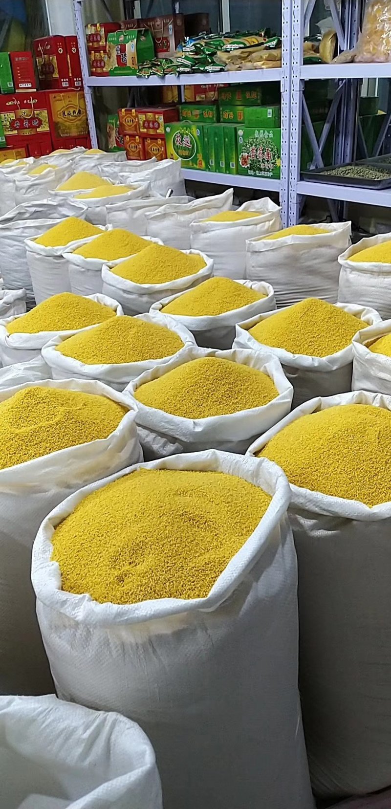 蔚洲贡米优质黄小米精品有机小米贡米特产包邮
