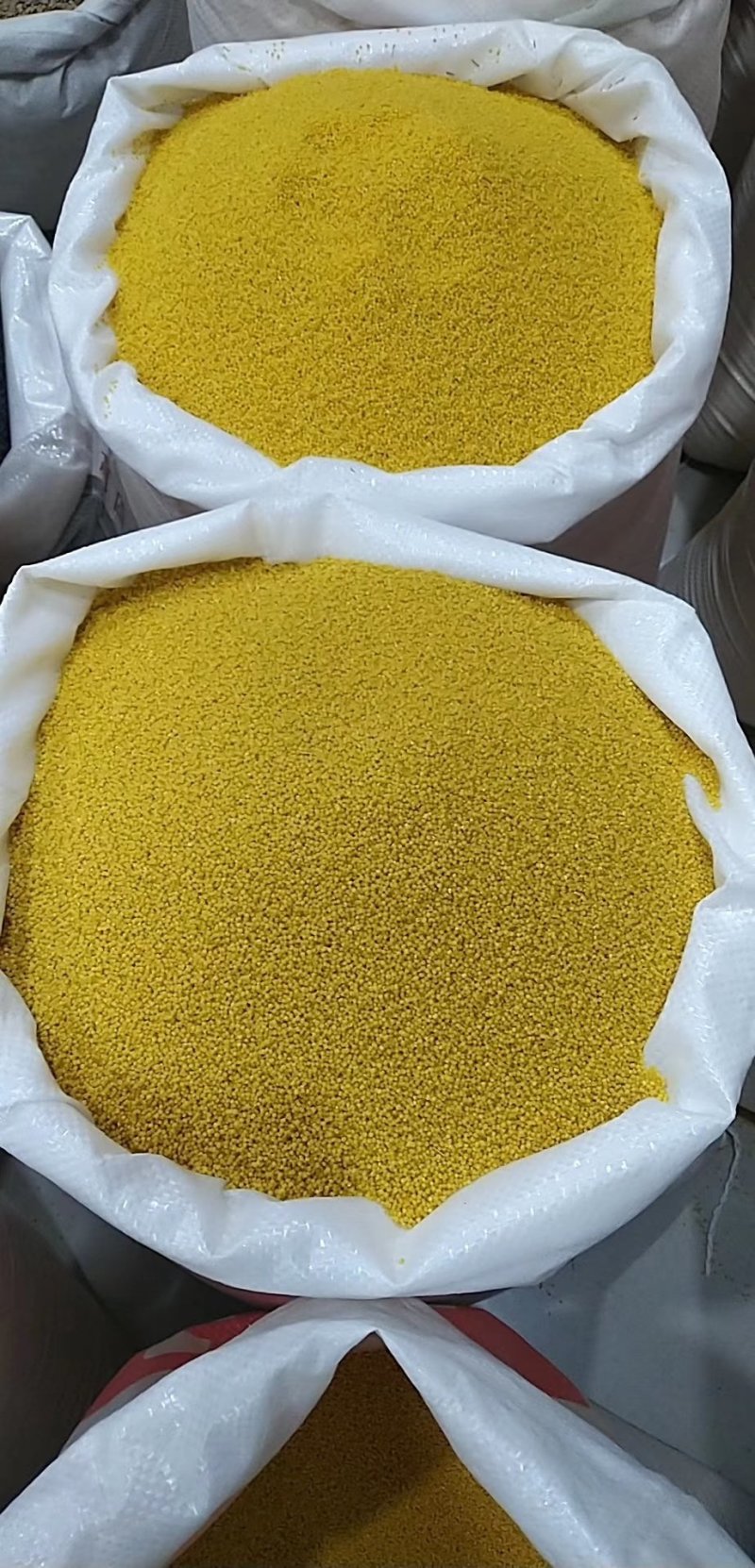 蔚洲贡米优质黄小米精品有机小米贡米特产包邮
