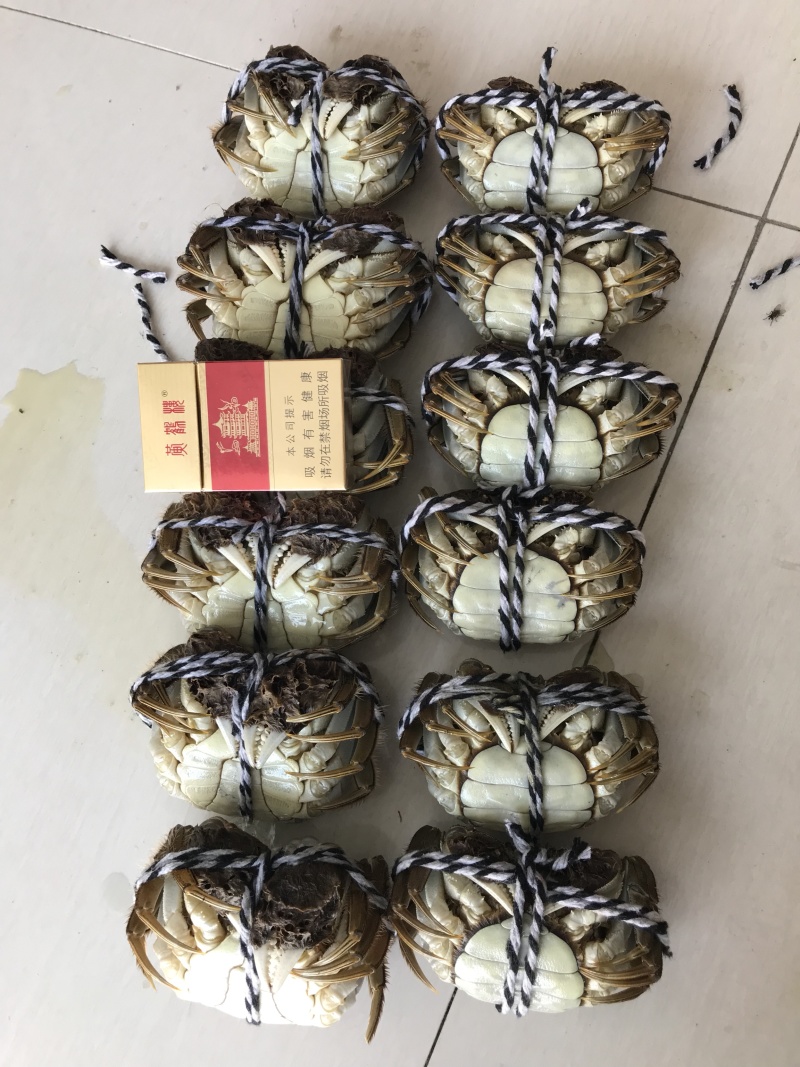 大量批发大闸蟹