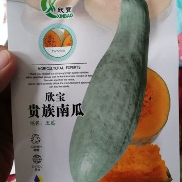 【优质】30粒装贵族南瓜种子丑瓜甜度高口感糯性强