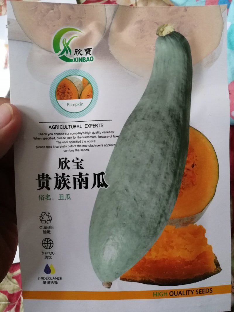 【优质】30粒装贵族南瓜种子丑瓜甜度高口感糯性强