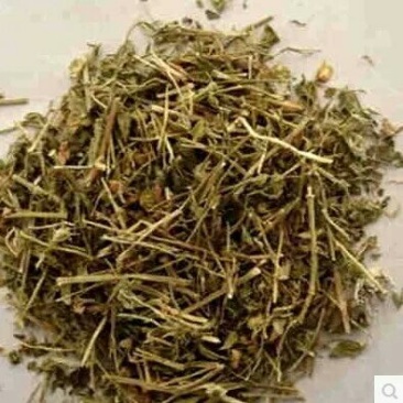 小米草产地直供支持线上交易可搭配多品种采购大货联系