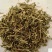 小米草产地直供支持线上交易可搭配多品种采购大货联系