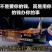 产地批发冷冻蚕蛹