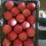 【红富士苹果】大量批发口感脆甜电商超市出口均可
