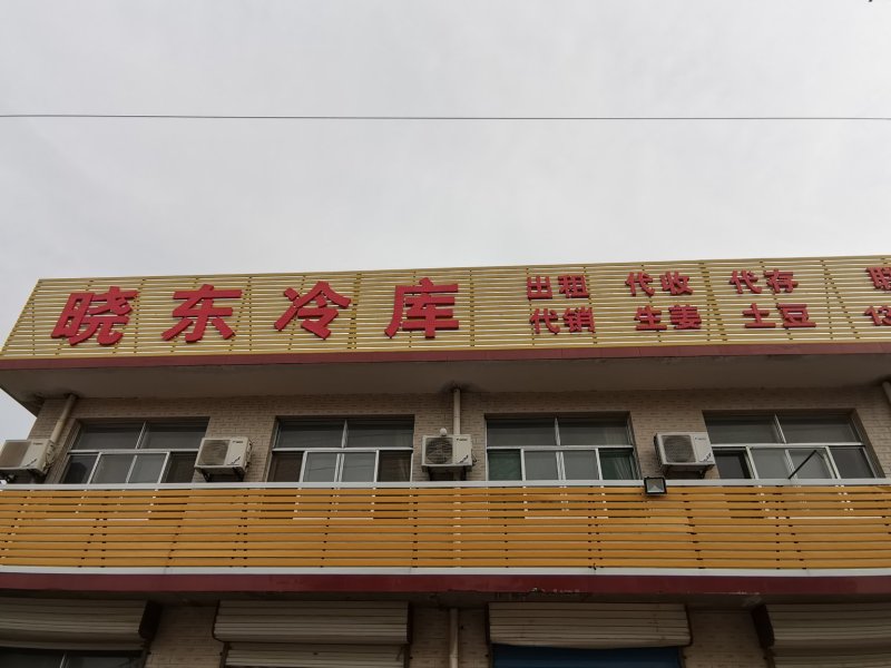 精品红牙鲜姜大量上市供应量大自有冻库品质保证