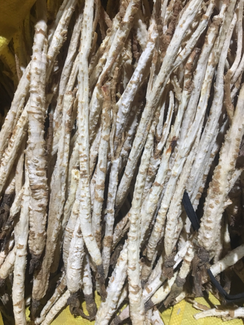 北沙参精品新货价格美丽