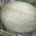西州蜜西州蜜瓜25号香瓜哈密瓜甜瓜西瓜