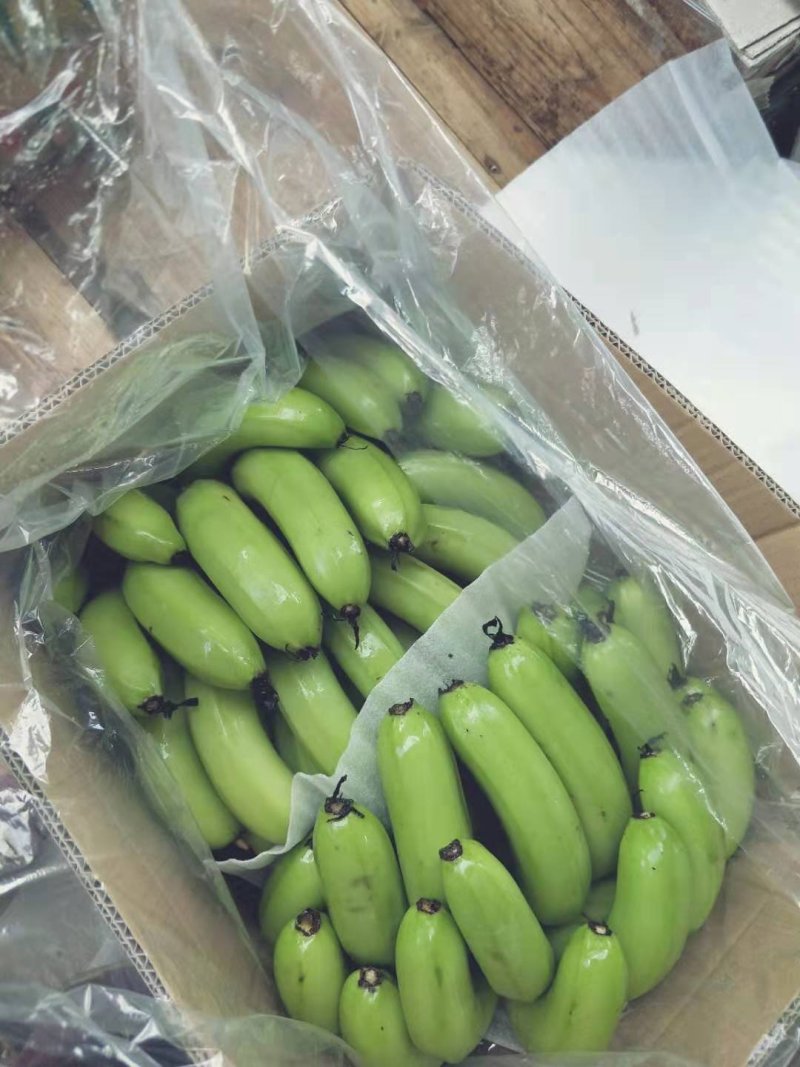 常年供应云南，海南，广西香蕉，生蕉，大黄，二黄，质量有保