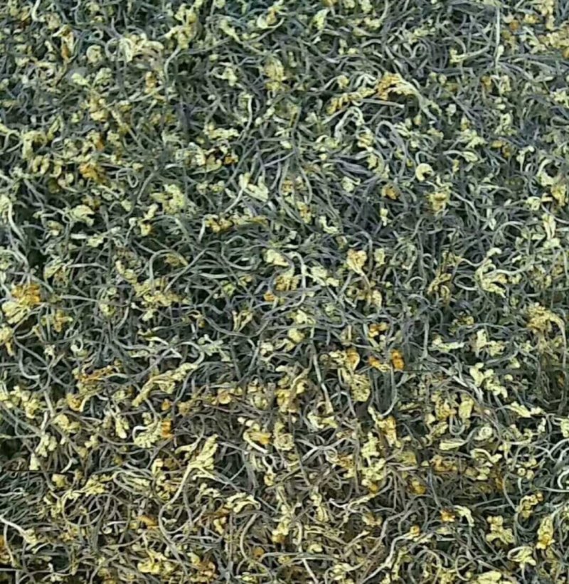 10gk/箱天然野生优质蕨菜干出口韩国日本级特价包邮批发