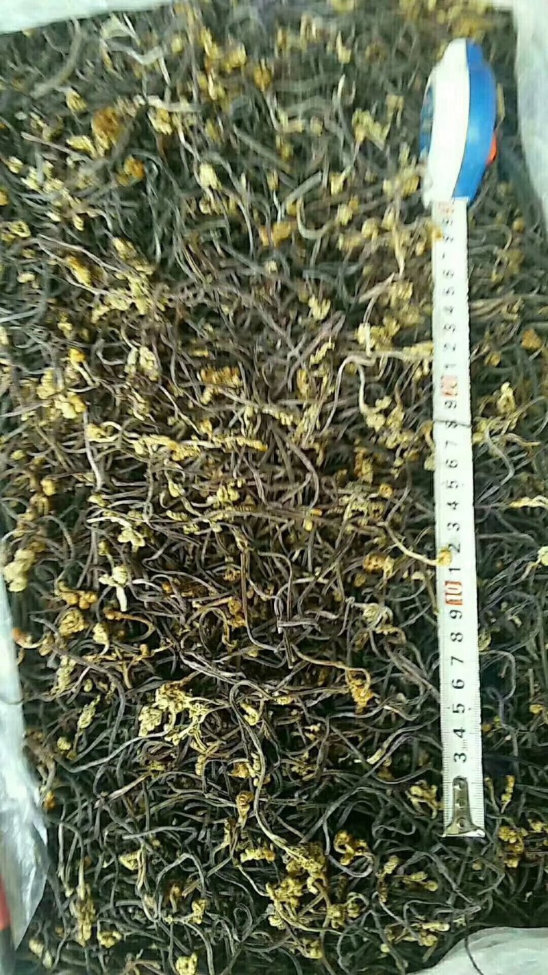 10gk/箱天然野生优质蕨菜干出口韩国日本级特价包邮批发