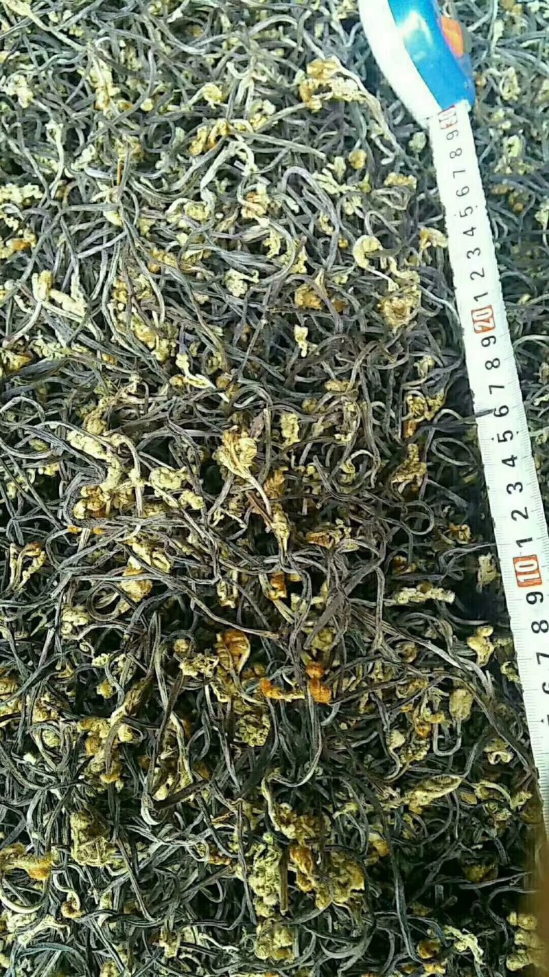 10gk/箱天然野生优质蕨菜干出口韩国日本级特价包邮批发