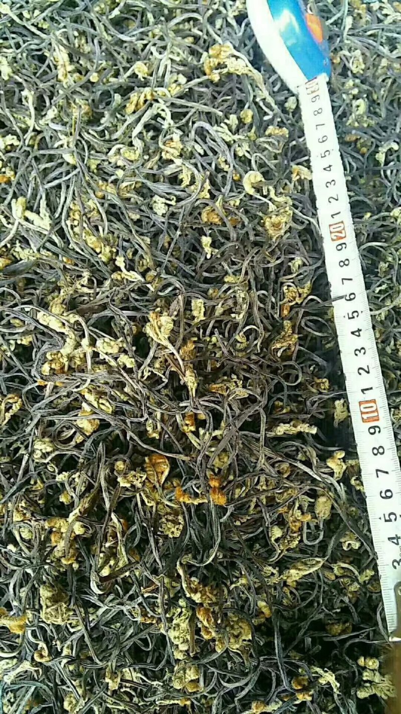 10gk/箱天然野生优质蕨菜干出口韩国日本级特价包邮批发