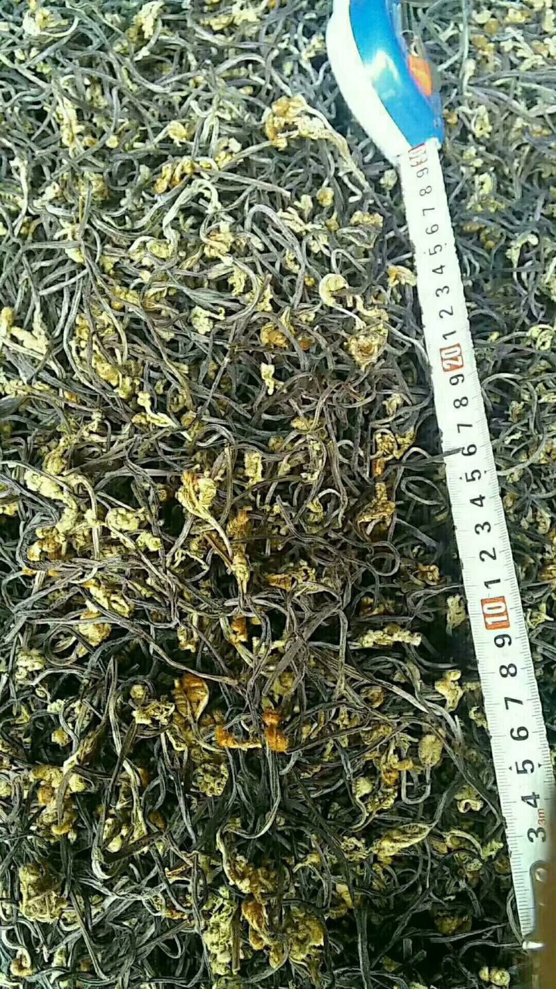 10gk/箱天然野生优质蕨菜干出口韩国日本级特价包邮批发