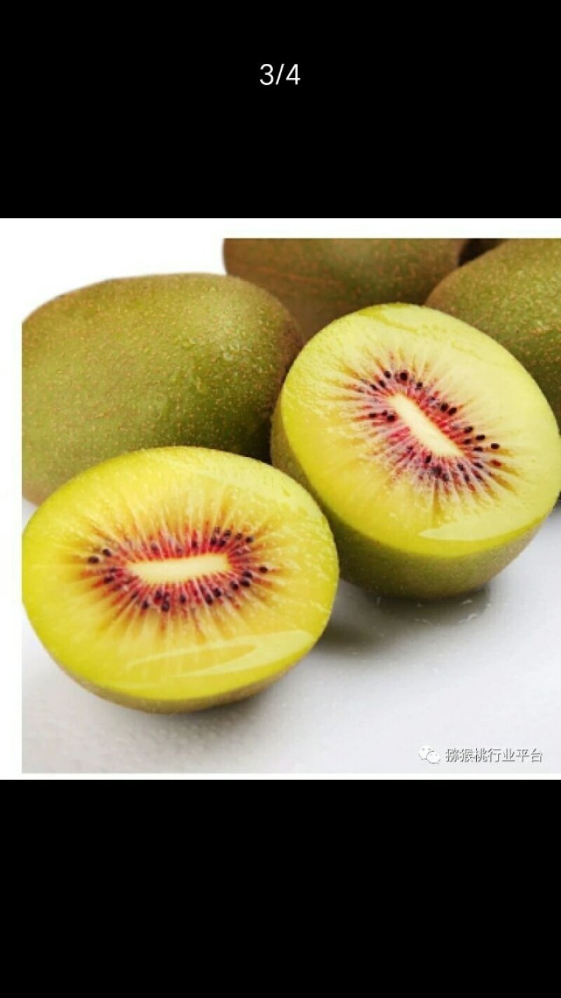 眉县红心猕猴桃大果5斤净重