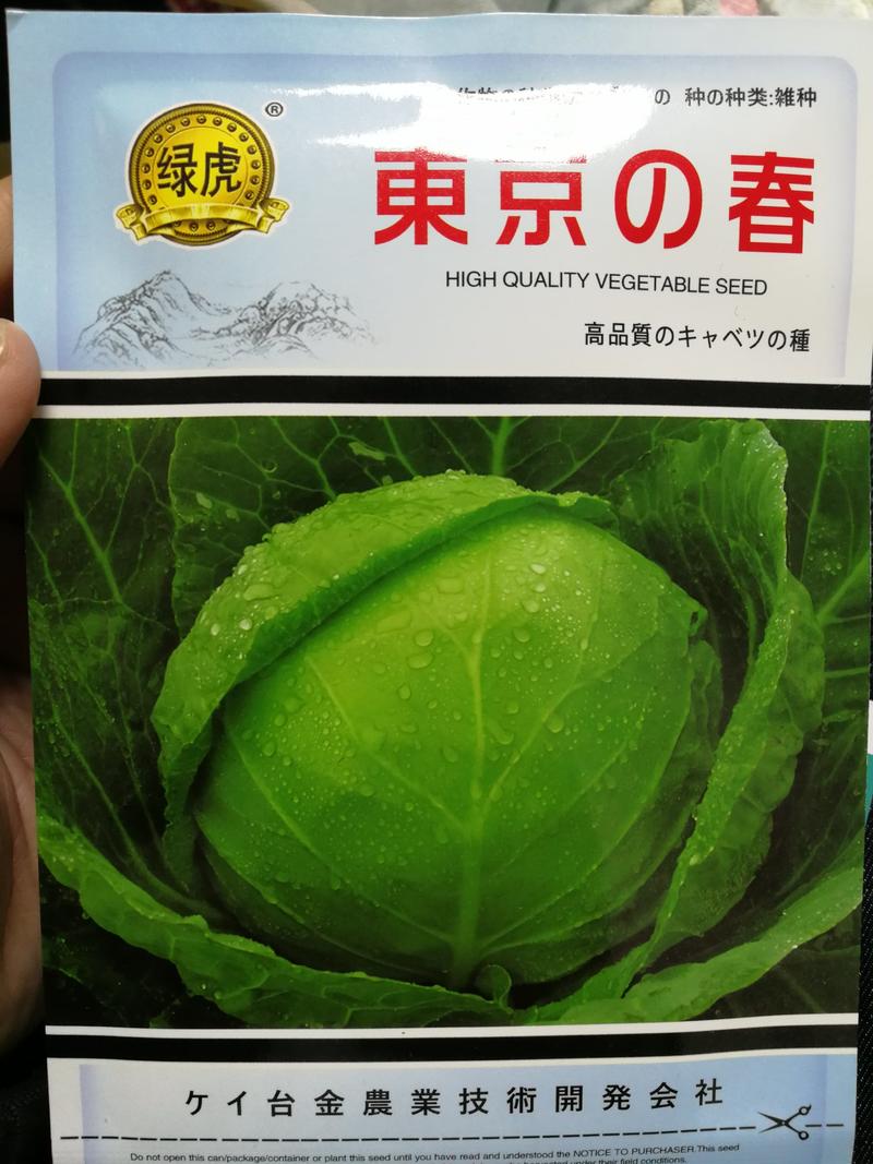 【精选】东京的春甘蓝种子超抗病耐抽苔深绿球形美观