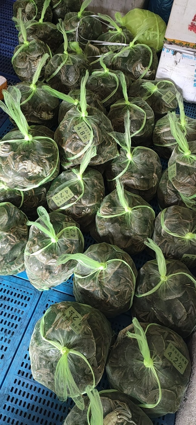 洪湖清水大闸蟹产地直发