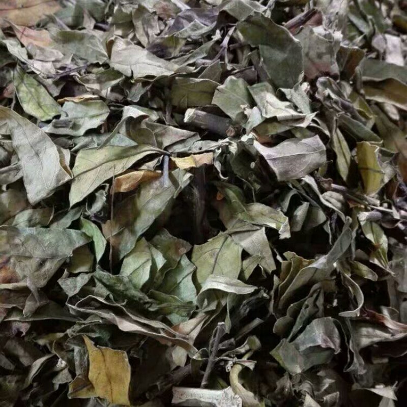 大驳骨产地直供支持线上交易可搭配多品种采购大货联系