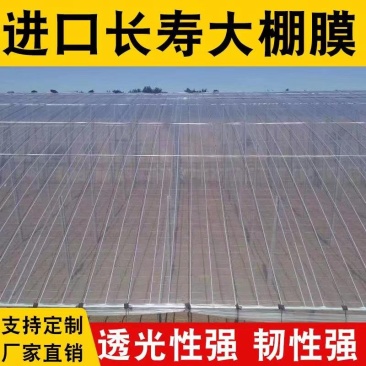 大棚膜灌浆膜蔬菜水果花卉养殖膜2米—20可定制
