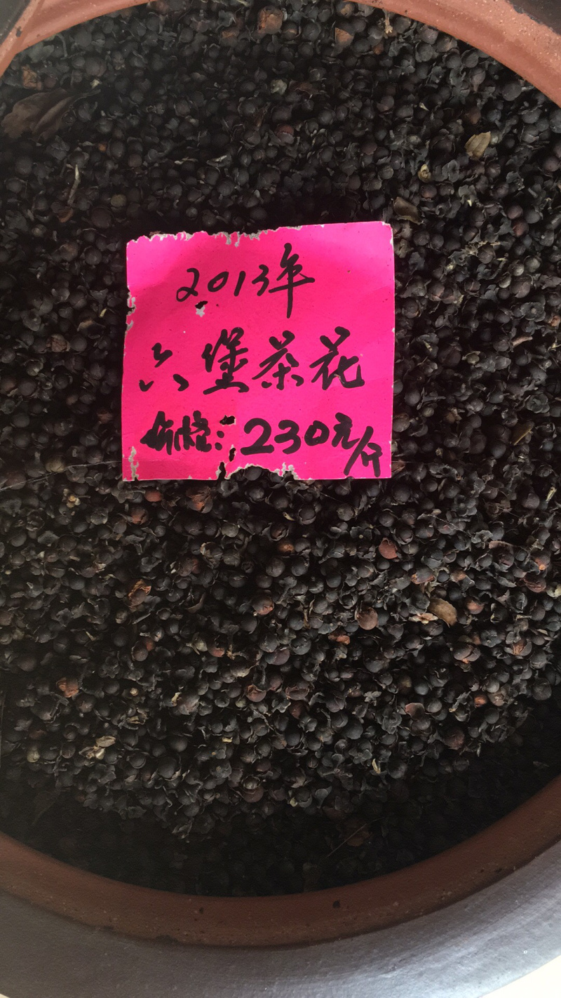 梧州六堡茶2013年六堡茶花