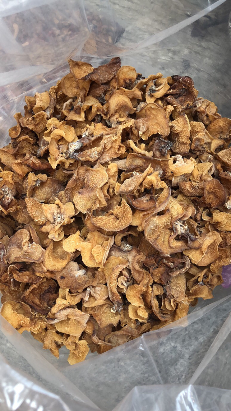 羊肚耳