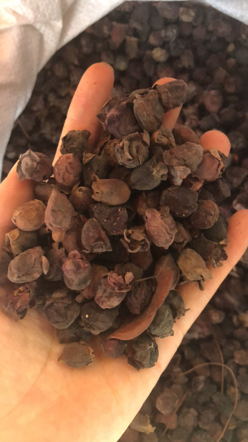 桃金娘果干
