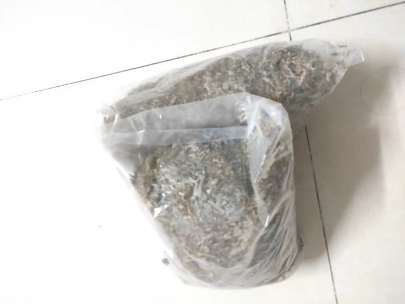 翻白草包邮翻白草干货农家初选农副土特产品