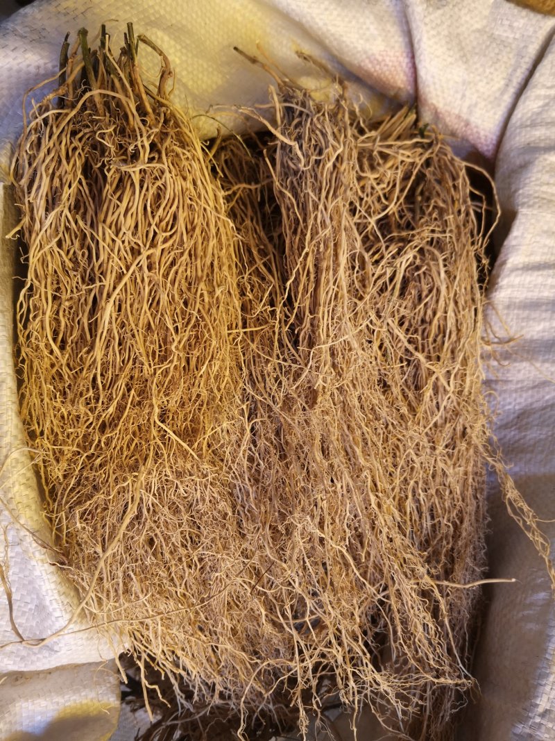 三十六荡，老君须，娃儿藤，双飞蝴蝶