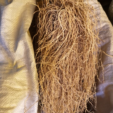 三十六荡，老君须，娃儿藤，双飞蝴蝶