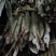 豇豆专用(木竹架杆