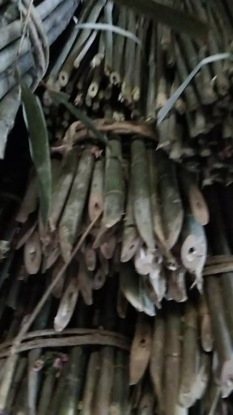 豇豆专用(木竹架杆