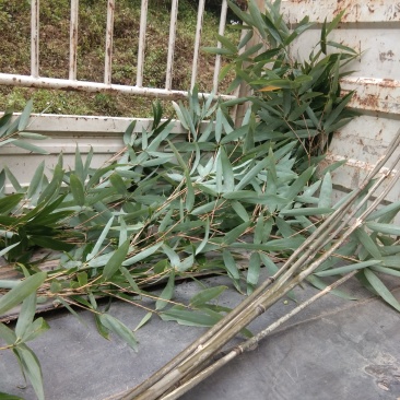 豇豆专用(木竹架杆