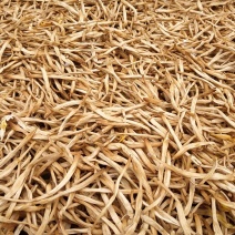 黄花菜2024头茬新货无硫干黄花菜，产地直发，一手货源