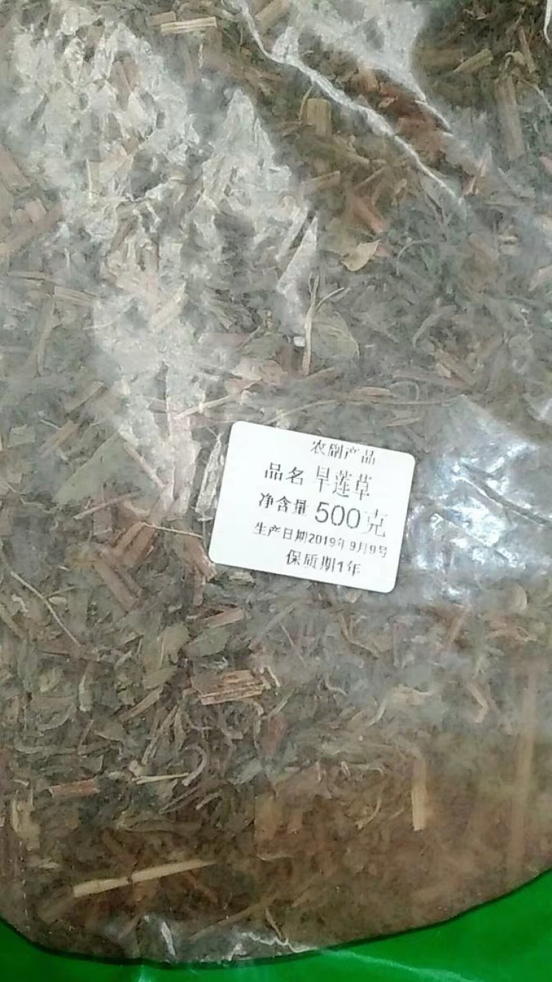 旱莲草墨旱莲鳢肠中药材111农家初选中药材