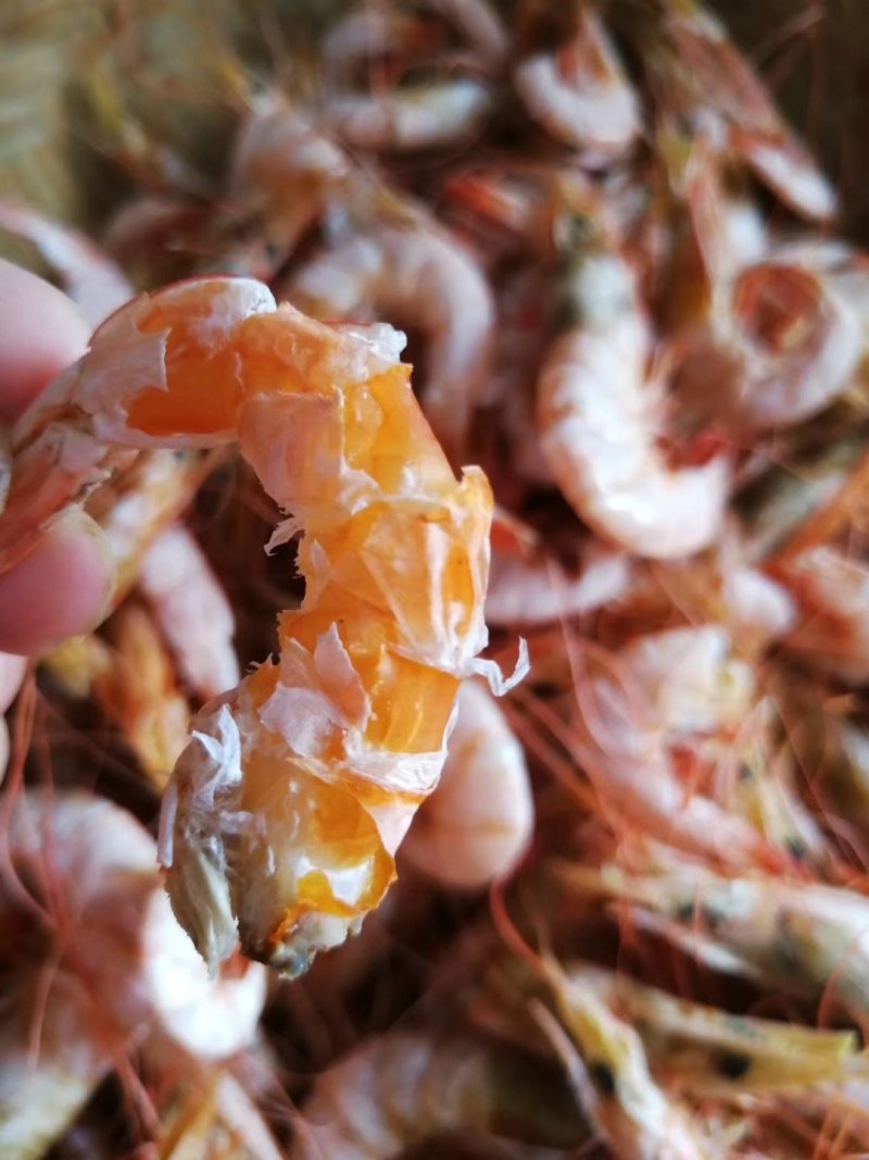 虾干即食虾干海虾干本地渔民自晒